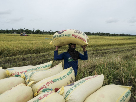 Cijena riže u Aziji na dvogodišnjem maksimumu