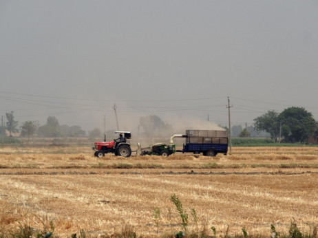 Indija razmatra ograničenje izvoza pšenice jer vrućina uništava usjeve