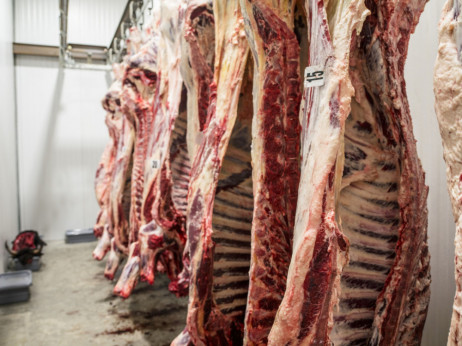 Kako do ispunjenja uslova za izvoz crvenog mesa u EU
