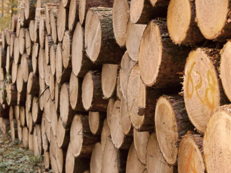 Traže se mjere za destimulizaciju izvoza drvnih sortimenata
