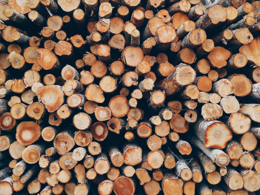 'Zabrana izvoza trupaca dala bi drvnoj industriji jači zamah'