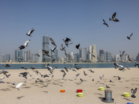 Pijesak plaćen 34 miliona dolara? Novi rekord u Dubaiju