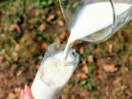 U Srbiji poskupjelo mlijeko, Vlada zabranila izvoz