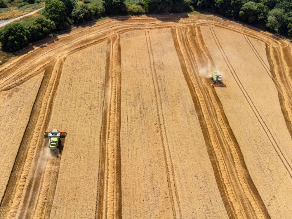 Povijesne suše u Francuskoj