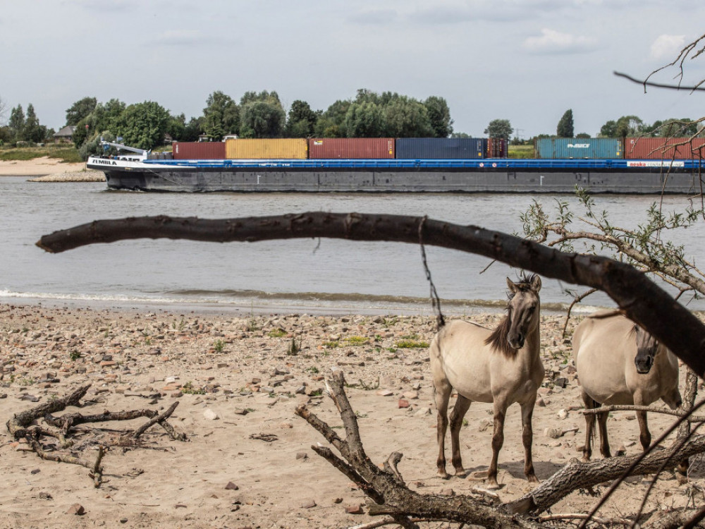 COP27: EU prijeti da napusti klimatske pregovore