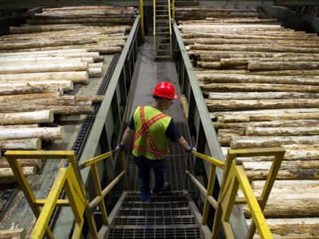 Proizvodnja šumskih sortimenata u RS-u porasla za 4,7 posto u 2022. godini