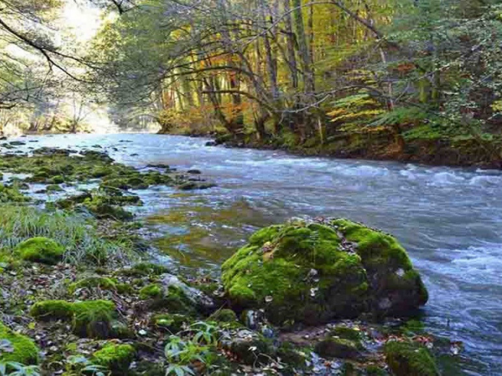 U planu dokapitalizacija HE Bistrica u iznosu od 30 miliona KM