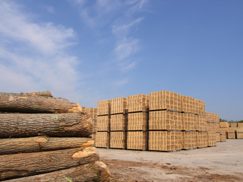 Regionalni izvoz rezane drvene građe premašio 1,2 milijarde dolara