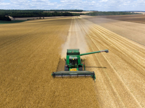Smanjena proizvodnja pšenice u FBiH za 33 posto, manje i drugih žitarica