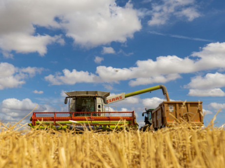 Poljoprivrednici na gubitku, loš prinos pšenice