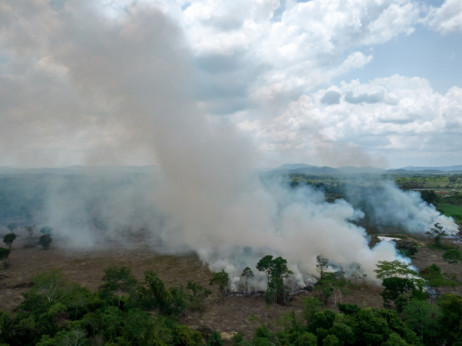 Amazonska prašuma uništava se najbržim tempom u 15 godina, novi plan za spas
