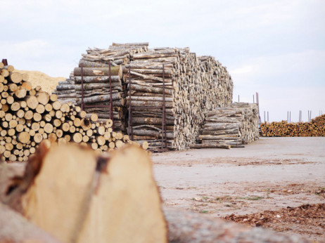 BiH treba uvesti takse za izvoz drveta i utvrditi standardizaciju šumskih drvnih sortimenata
