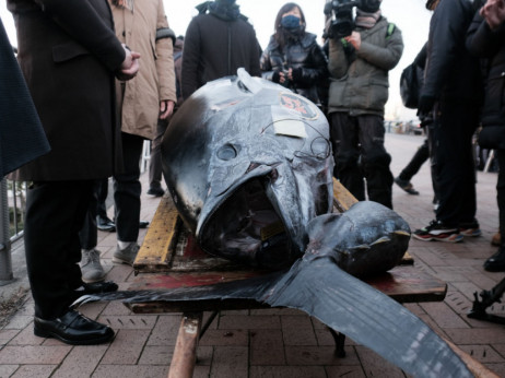 Džinovska tuna prodata u Tokiju za 275.000 dolara