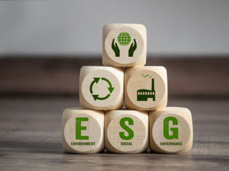 Kako ESG može biti od ključnog značaja za BiH