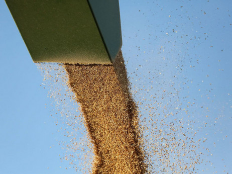 Kineski uvoz ruske pšenice ometaju izazovi u transportu