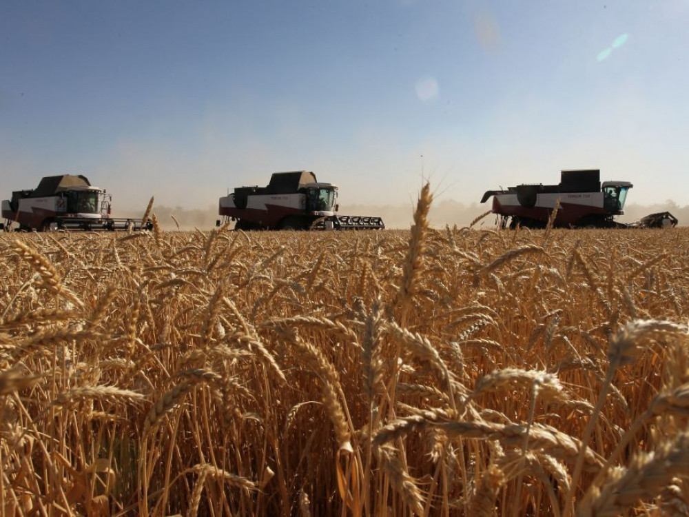 5 vijesti za početak dana: Loša žetva i pad cijena pšenice, upitna dekarbonizacija EU