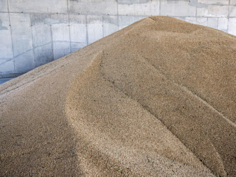 Cijene pšenice rastu jer je Rusija zaustavila promet u luci Novorossiysk