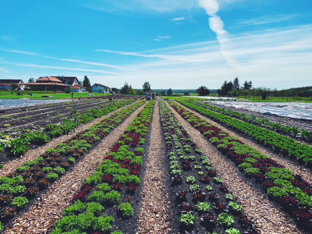 Proljetna sjetva započela zahvaljujući povoljnim vremenskim uvjetima