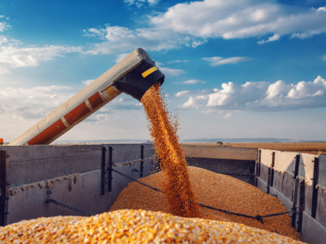 Globalne cijene hrane nastavile padati potaknute pojeftinjenjem žitarica i mesa