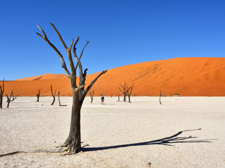 Namibija crvenim dinama, plavim morem i safarijem privlači turiste
