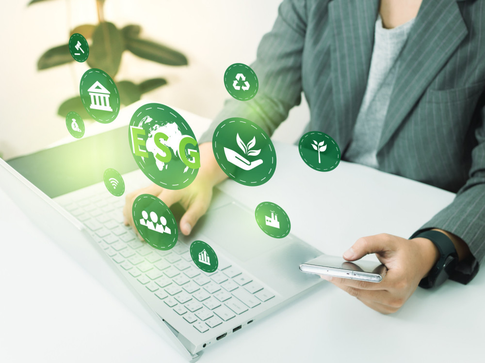 ESG vs. 'plain vanilla' 2024.: Blaga prednost za održive dionice