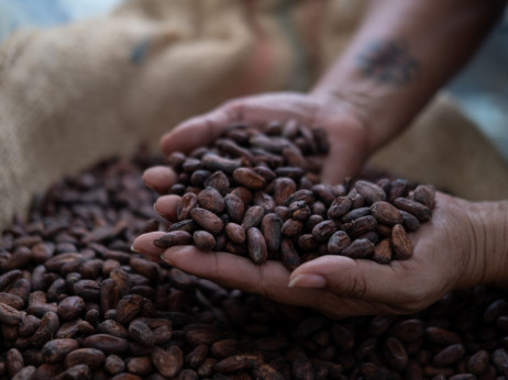 Proizvođači čokolade trošak prebacuju na kupce uslijed divljanja cijena kakaa