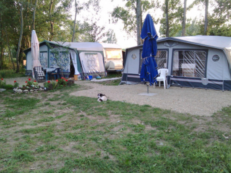 Kamp Oaza na belocrkvanskom jezeru: idealan bijeg u prirodu i mir