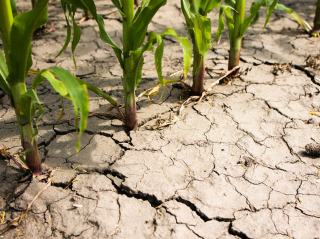 Gdje se nalazi BiH kada je riječ o klimatskim promjenama