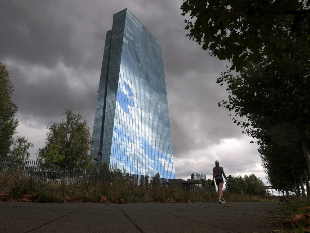 Treba li ECB smanjiti kamate? Šimkus smatra da treba