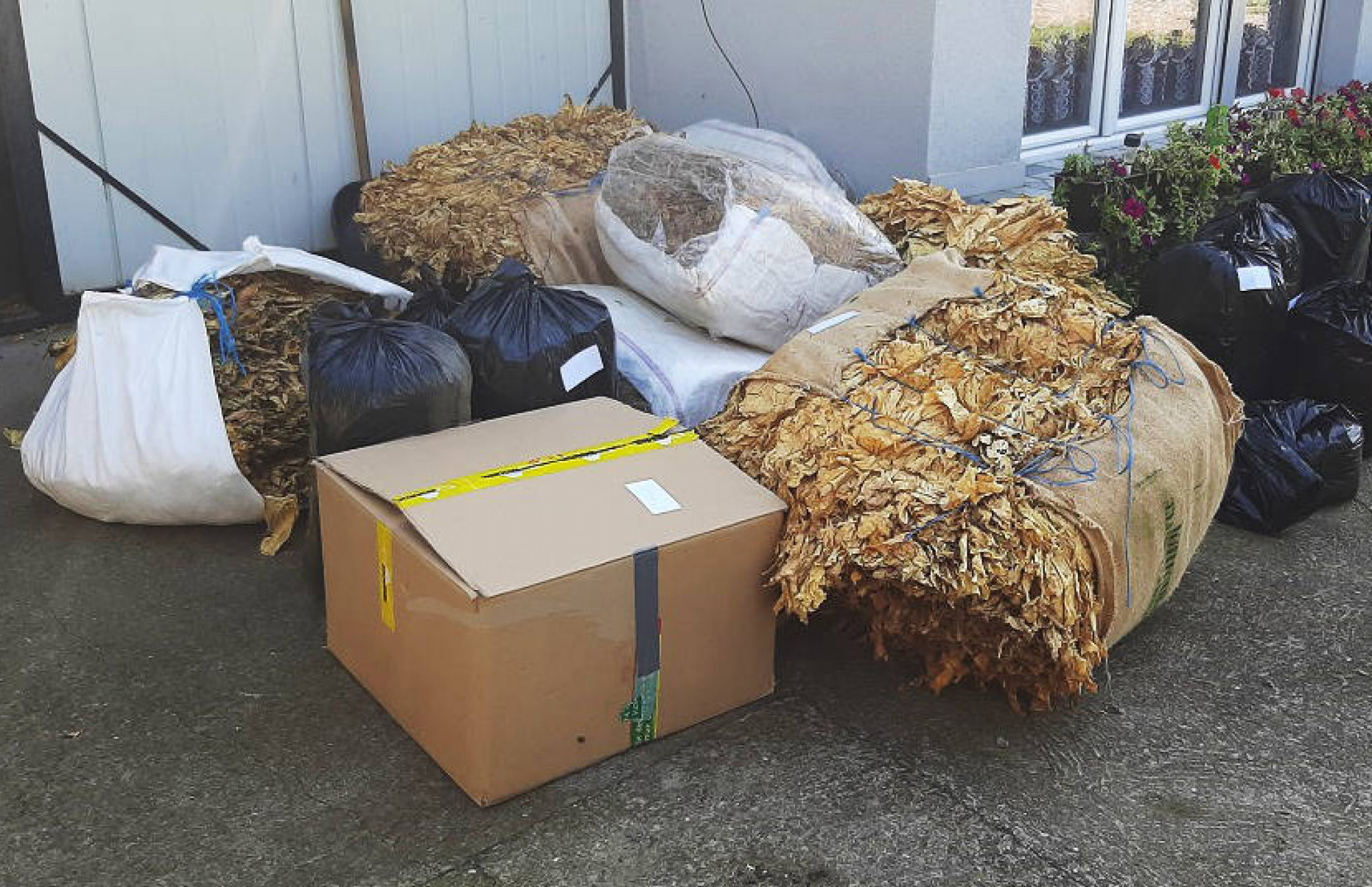 Ilegalni duvan profitabilan kao kokain, kako se boriti protiv švercera