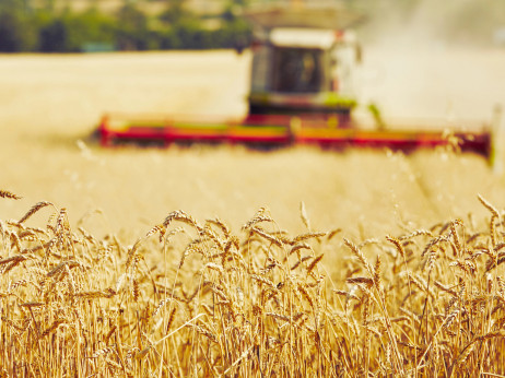 Zašto su strahovi od nestašice hrane makroekonomski neutemeljeni