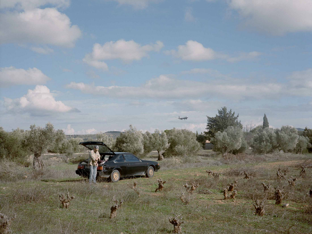 Krađe maslina i klimatski udari donose težak period za grčke uzgajivače