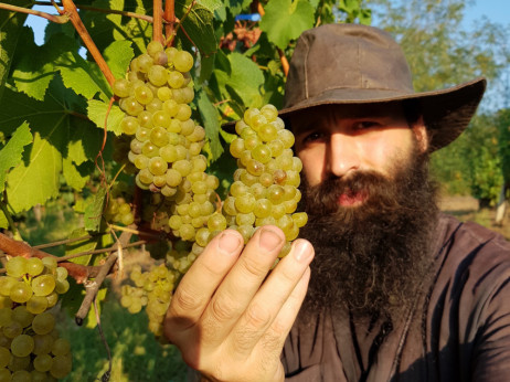 Nove butik vinarije adut u borbi s klimatskim promjenama