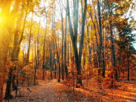 Novembarski bijeg - skriveni dragulji Balkana i najbolja jela