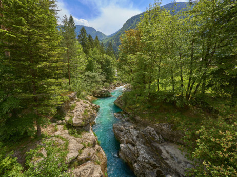 Digitalni detoks u Sloveniji: Najlepše oaze gdje nećete željeti signal