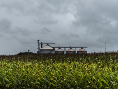 Владата ги ограничи маржите за вештачките ѓубрива